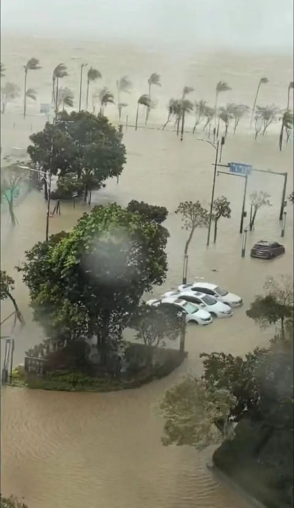 多家安置酒店已满房,珠海临海小区出现海水倒灌，多家安置酒店已满房，住户：住了30年..