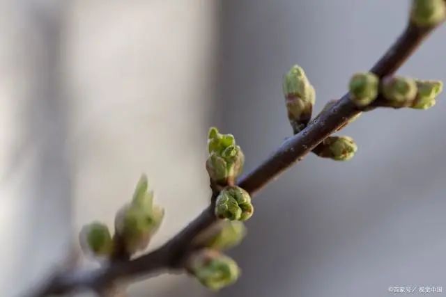 立春時(shí)間幾分幾秒_2024年立春時(shí)間幾點(diǎn)幾分幾秒鐘_2022年立春是幾時(shí)幾分幾秒