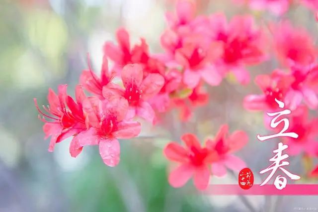 立春時(shí)間幾分幾秒_2022年立春是幾時(shí)幾分幾秒_2024年立春時(shí)間幾點(diǎn)幾分幾秒鐘