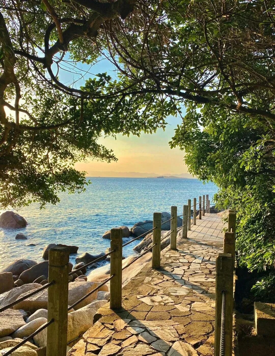 这里不是国外这是山海之城深圳