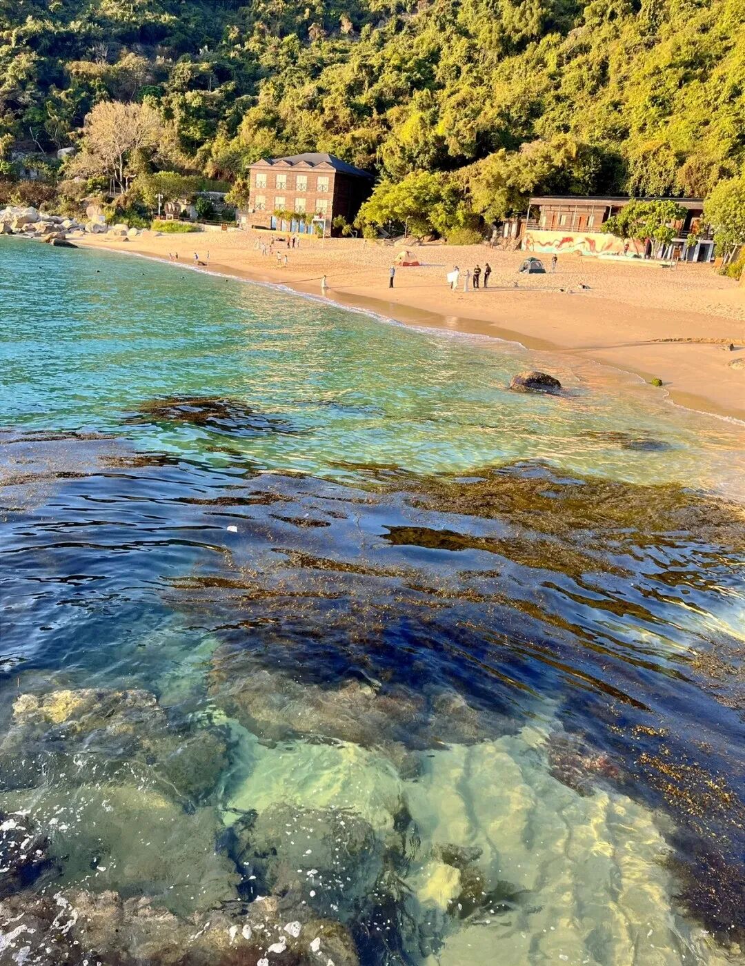 这里不是国外这是山海之城深圳