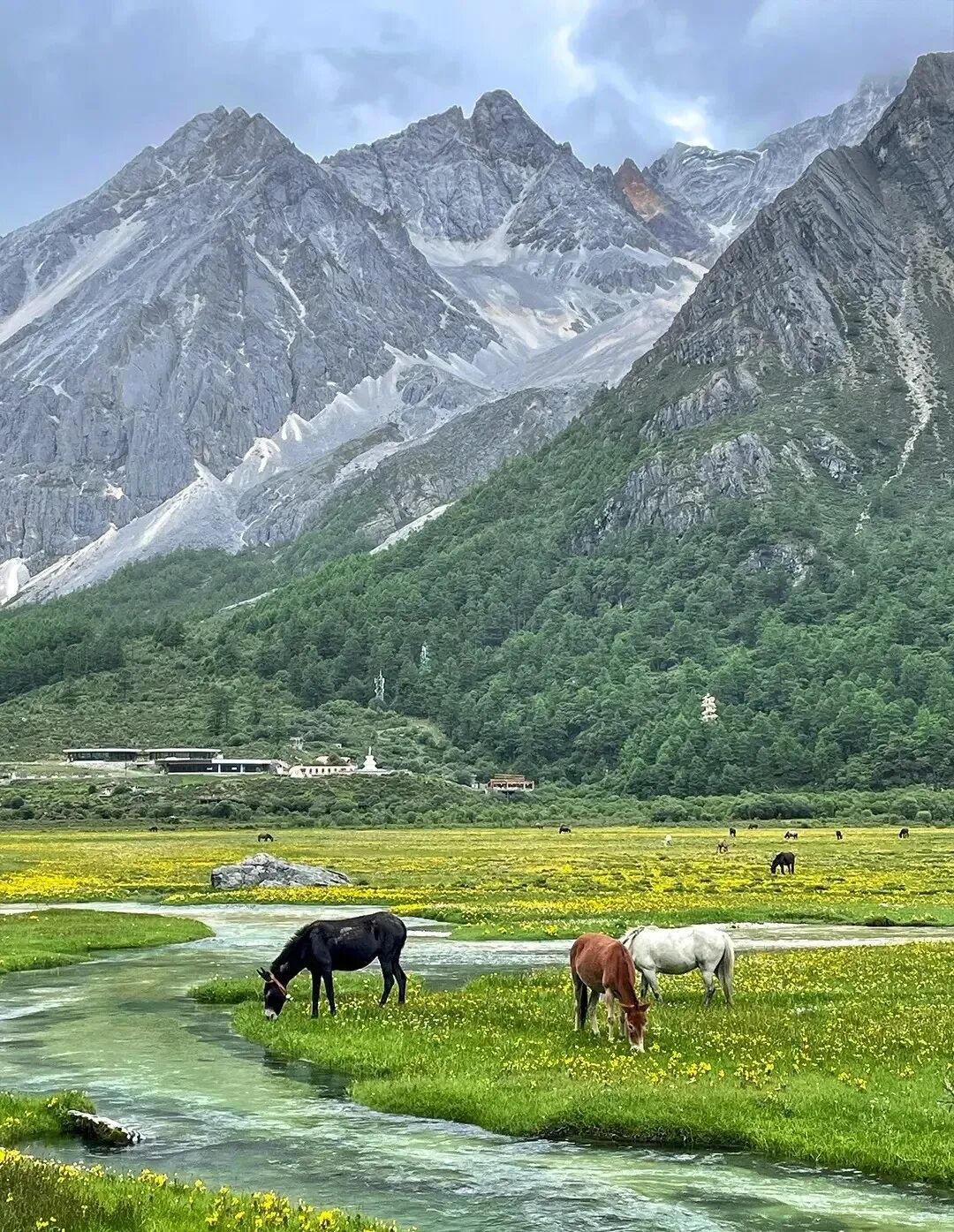 景区,阿咪东索景区,祁连山,马蹄寺,峨堡古城遗址公园景区曾经的我认为