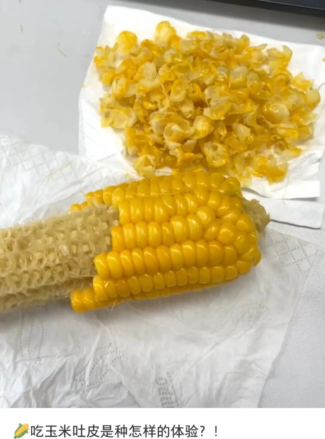 看完这些人吃完的玉米老鼠都甘拜下风