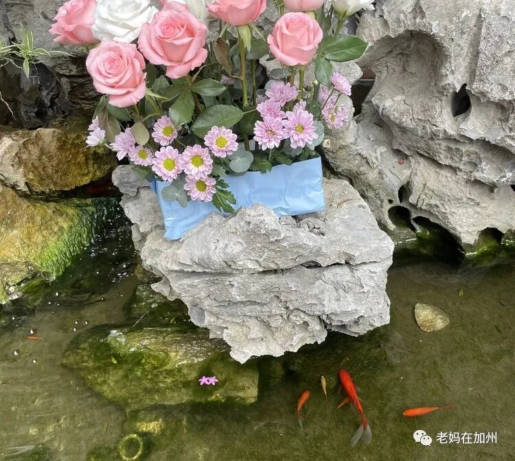 2022.10.30参观宁波药行街天主教堂