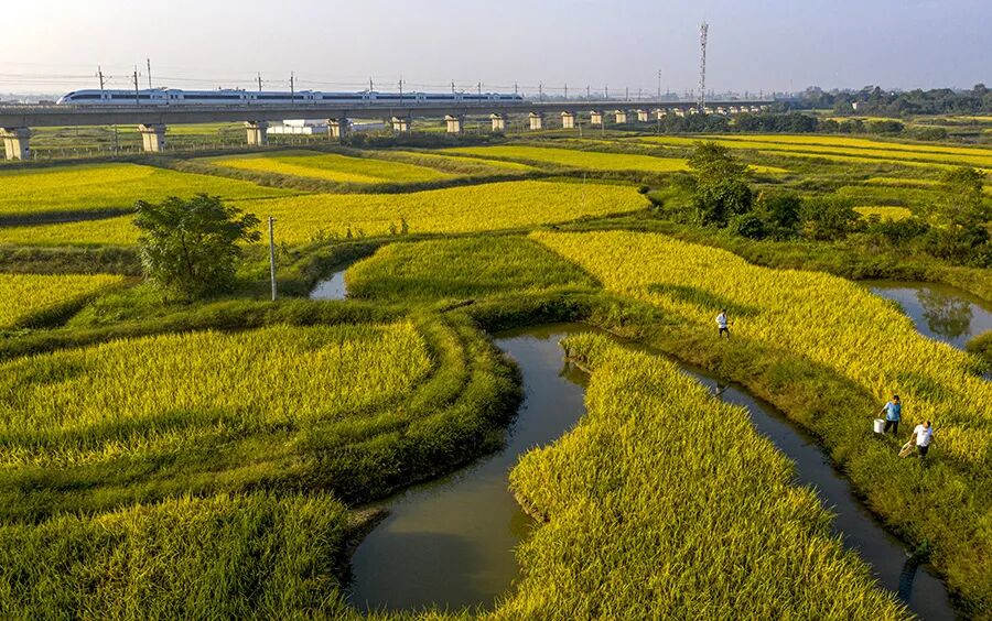 低碳农业新风向新模式组合拳加快农产绿色转型