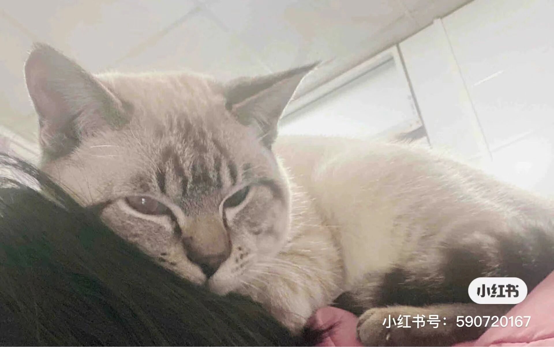 真的是好到穿一条裤子