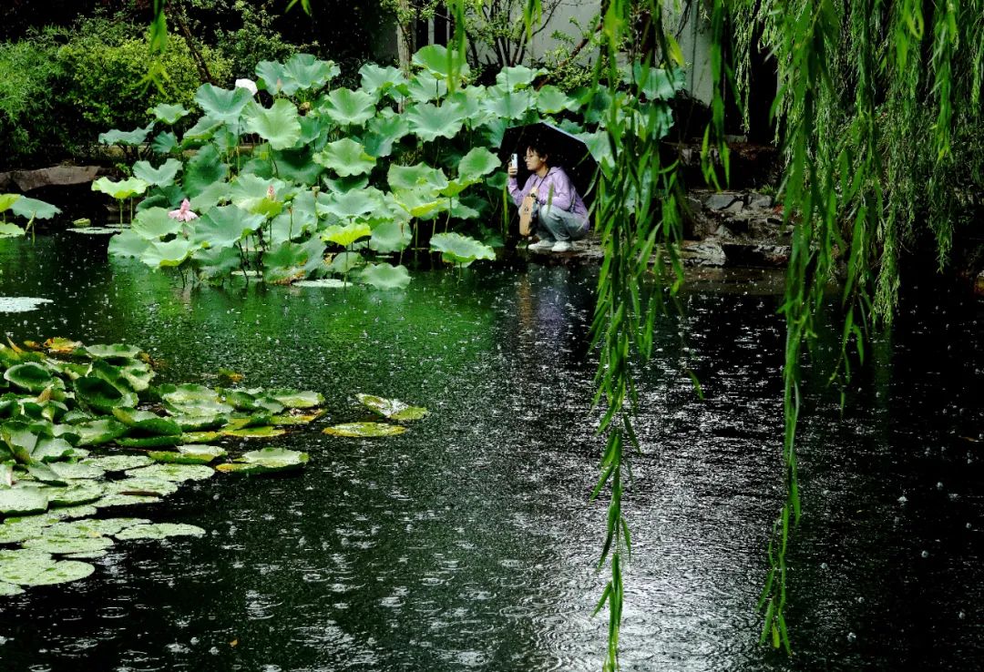 姑苏天气