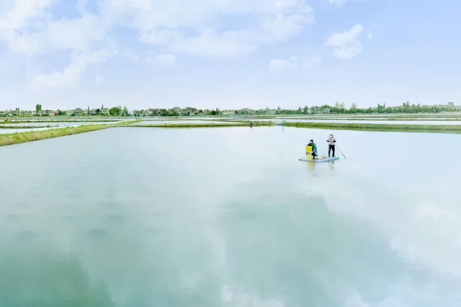 小龙虾很脏是误解：对水质要求很高