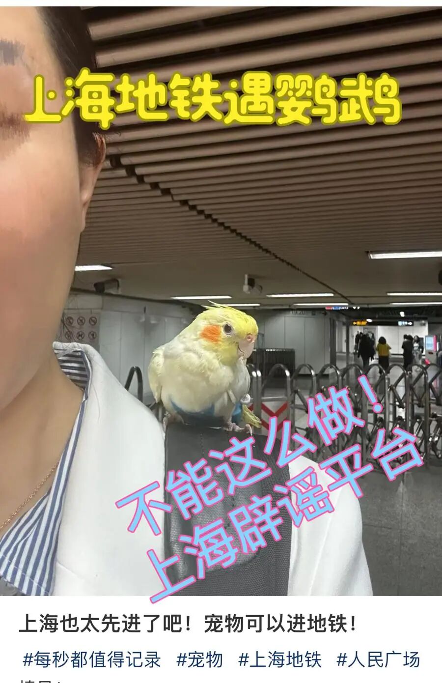 频繁上热搜，竟然还有人传授“攻略”！仓鼠为什么不能上地铁