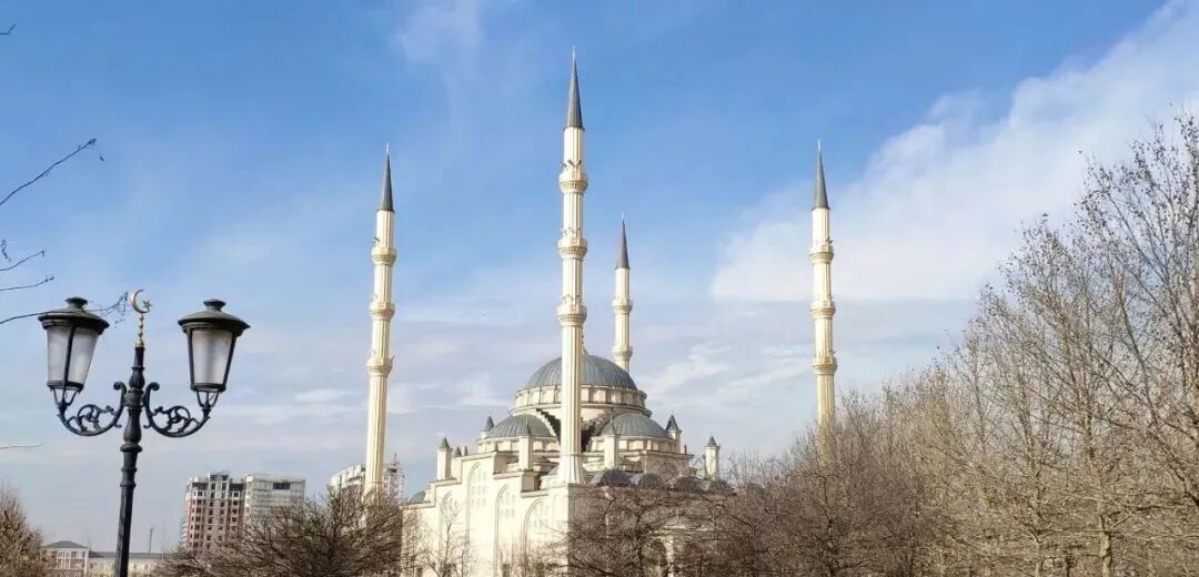 國(guó)際特種兵勇士學(xué)校_特種部隊(duì)勇士學(xué)校_我是特種兵國(guó)際勇士訓(xùn)練營(yíng)