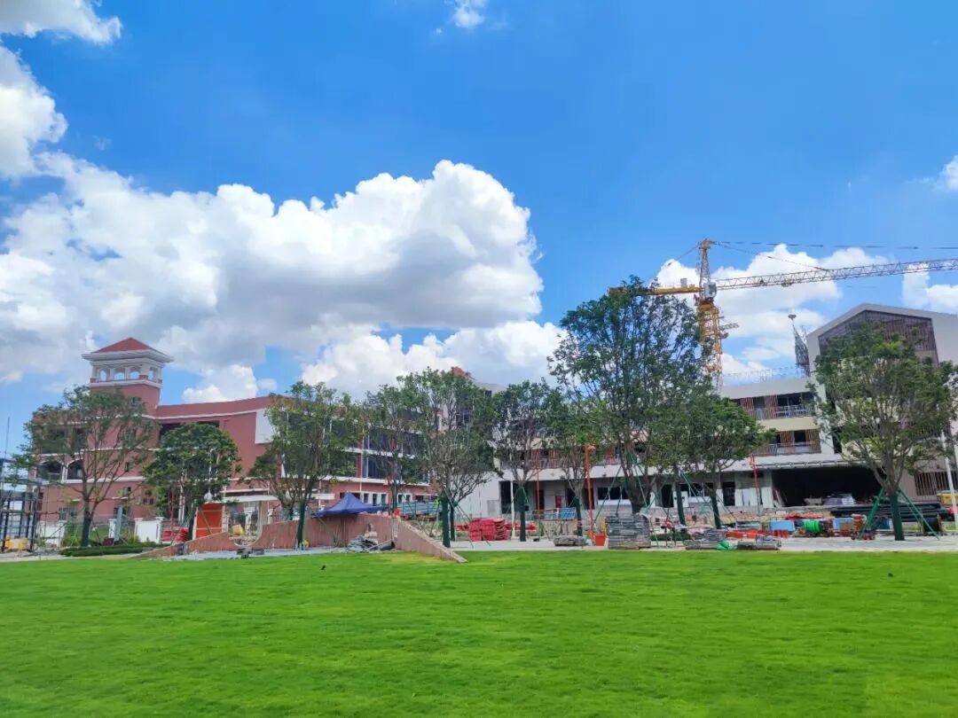 300万就能上车番禺【越秀星汇锦城】三房！