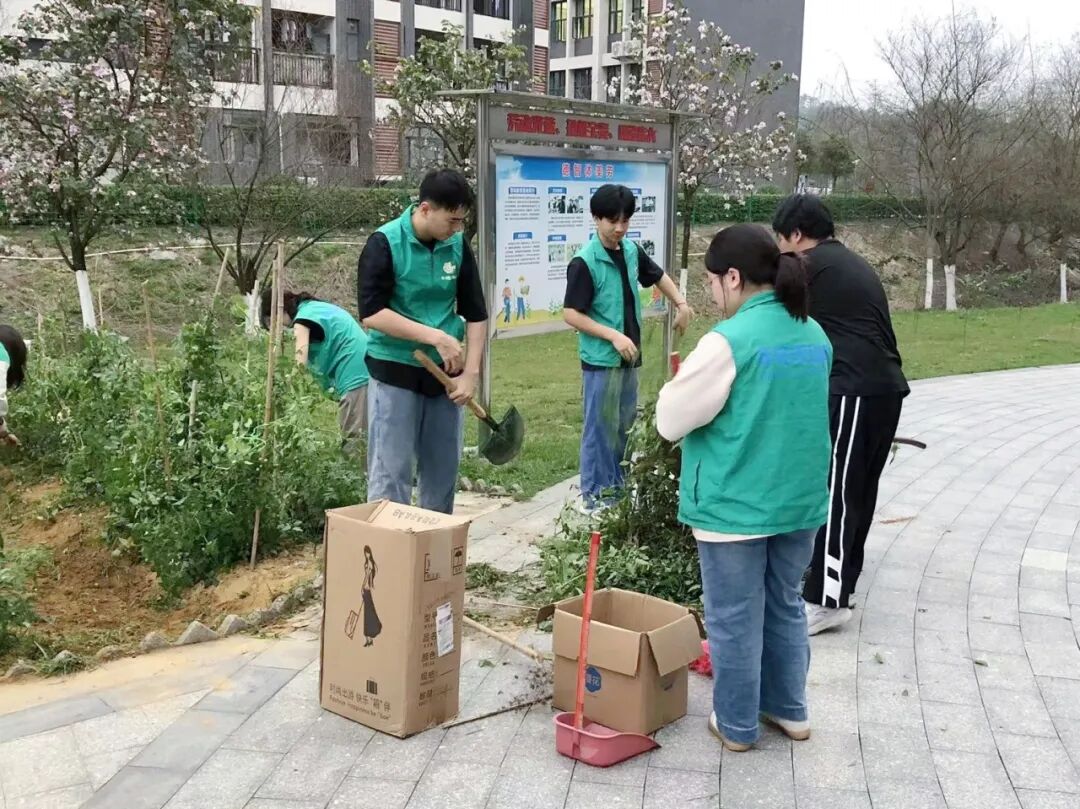 植一缕新绿，予世间美好 —— 明德书院劳动教育基地栽培活动