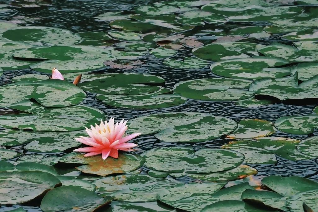 婺城天气