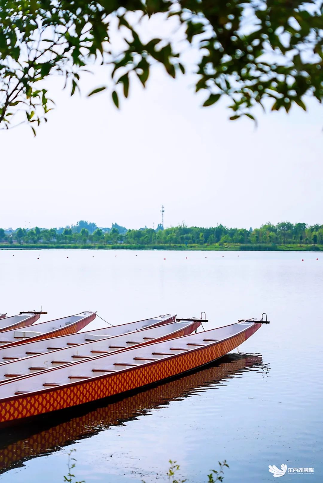 武汉东西湖风景图片