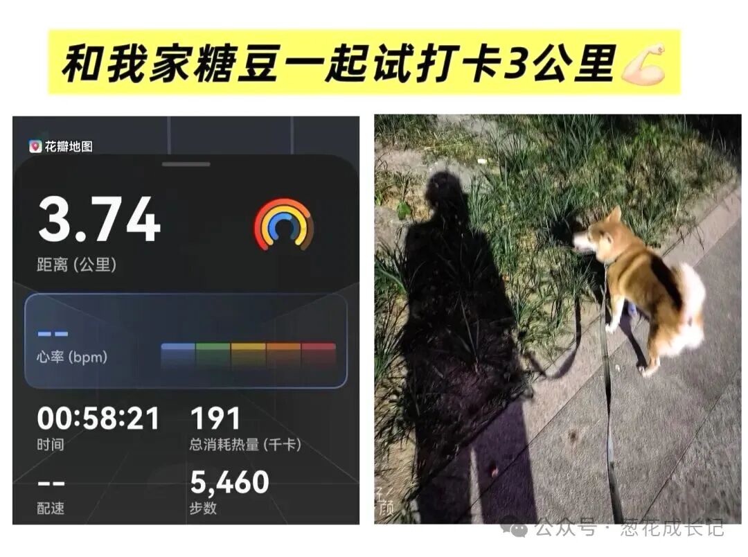 【三养营】沐浴在光里，重新养自己——做有烟火气的“神仙姐姐”！