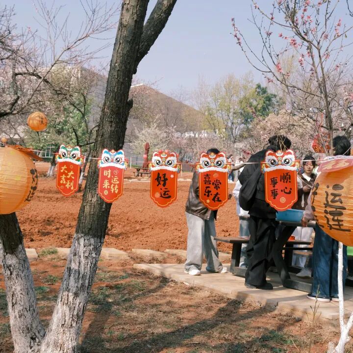 微信图片_2026-03-15_141225_985