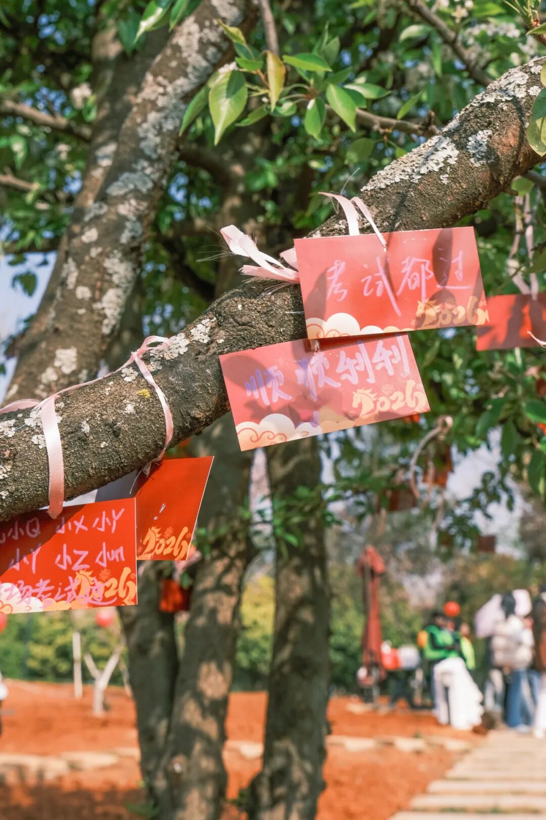 微信图片_2026-03-15_140422_997