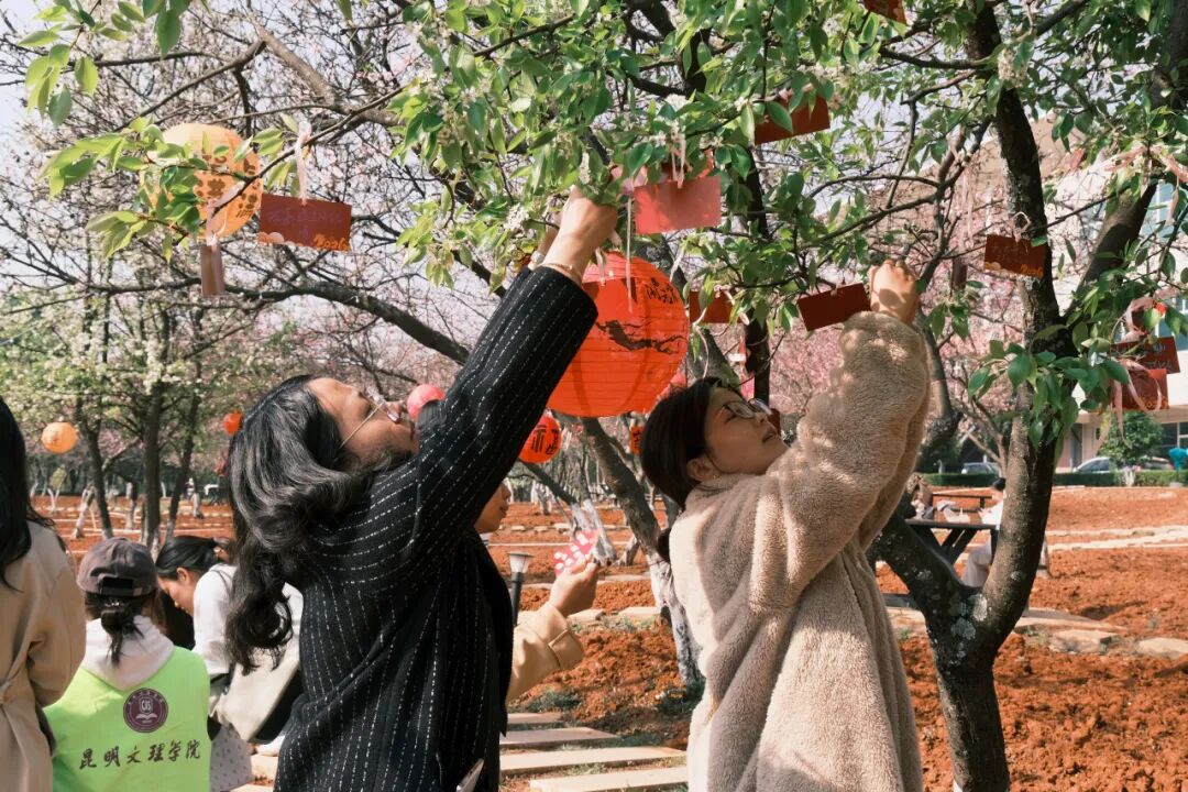 微信图片_2026-03-15_141337_526