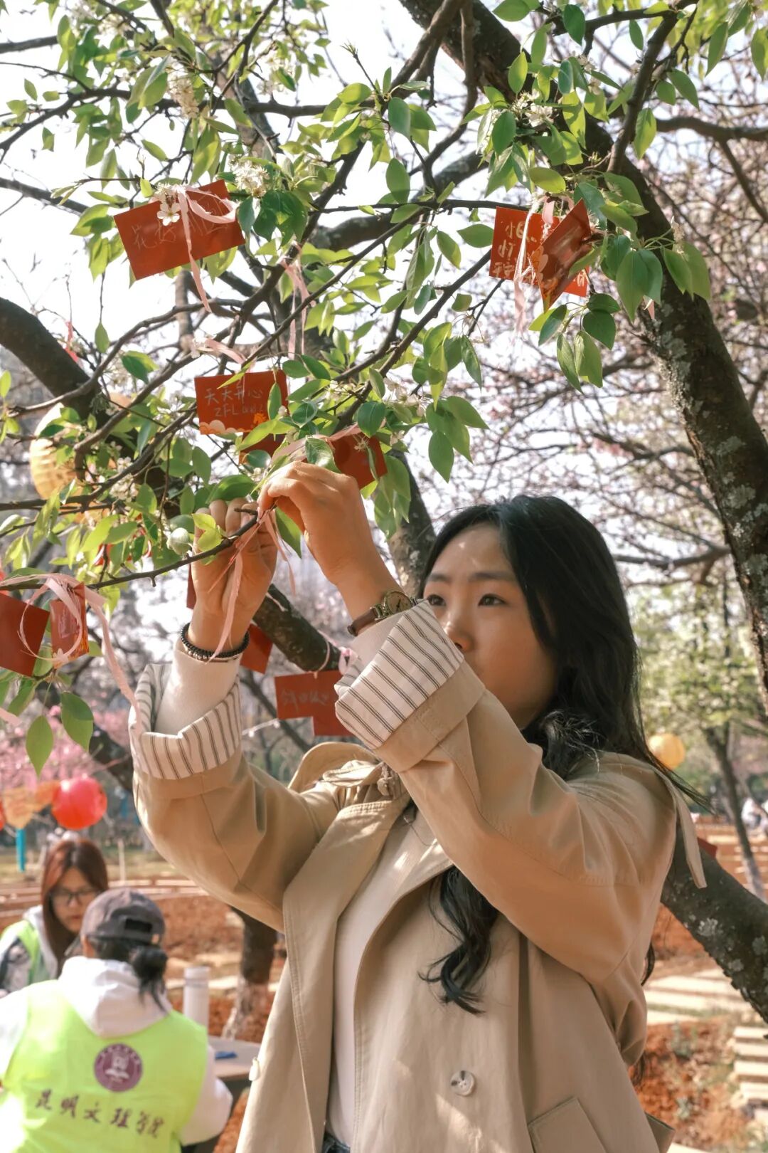 微信图片_2026-03-15_141407_872