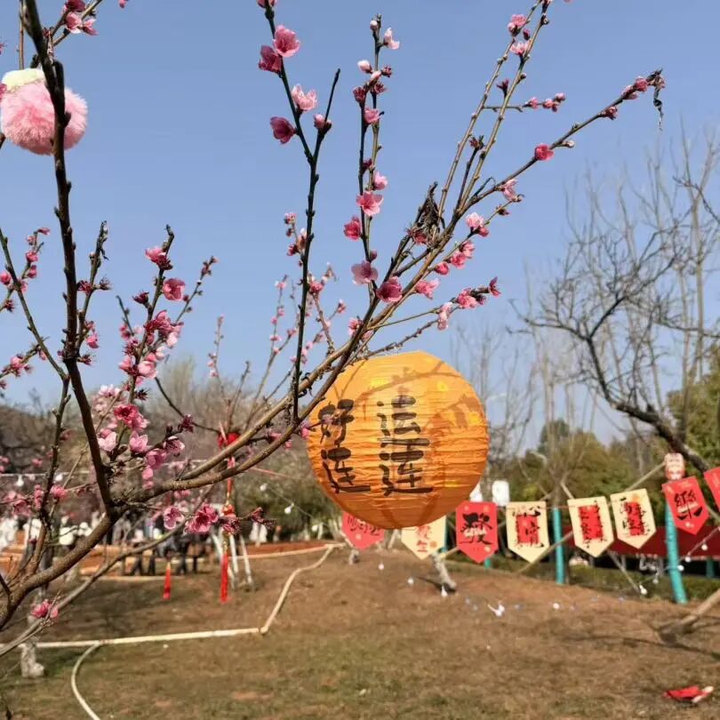 微信图片_2026-03-15_141236_958