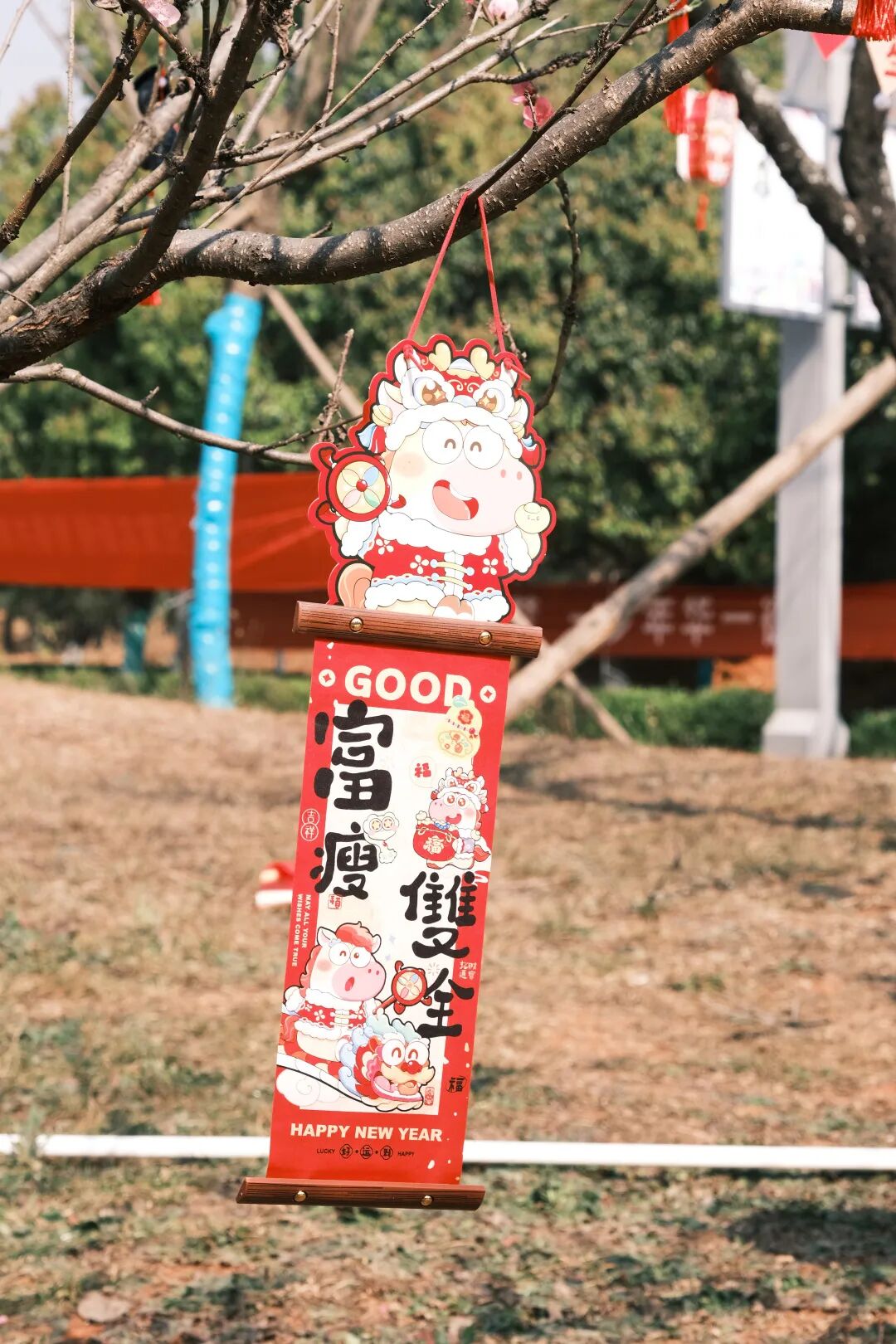 微信图片_2026-03-15_141236_958