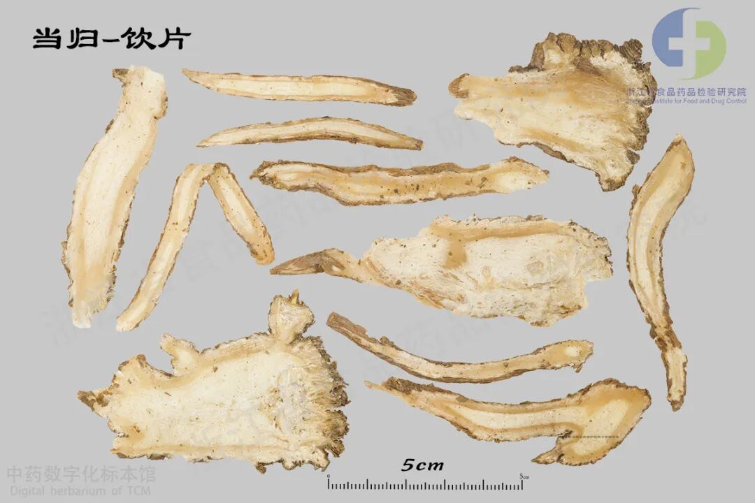 当归-饮片-02 拷贝.jpg