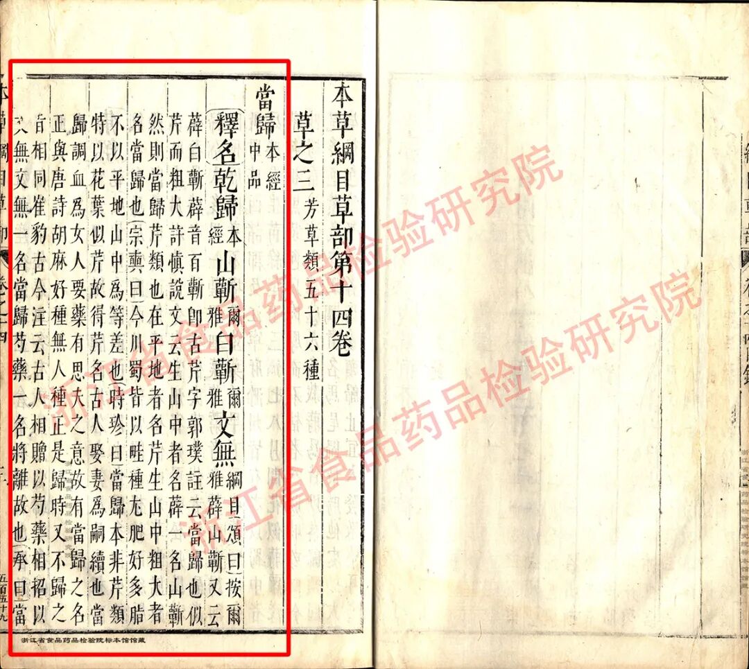 Image_00003 拷贝.jpg