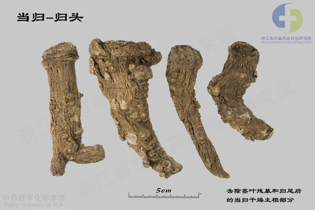 当归-当归头（一种规格）-01 拷贝.jpg