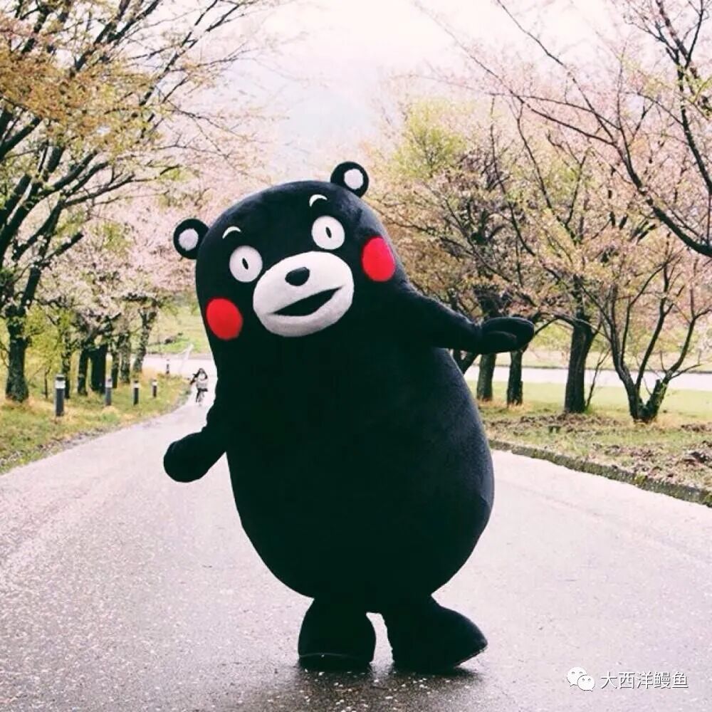 成都哪个省_成都省医院_成都省级示范性高中有哪些