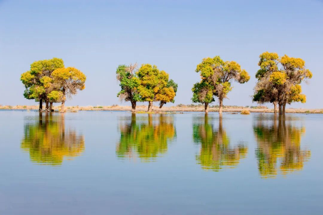 加开!呼和浩特[gf]21c6[/gf]额济纳,一站直达!