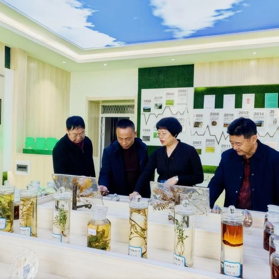 青海省福建商会