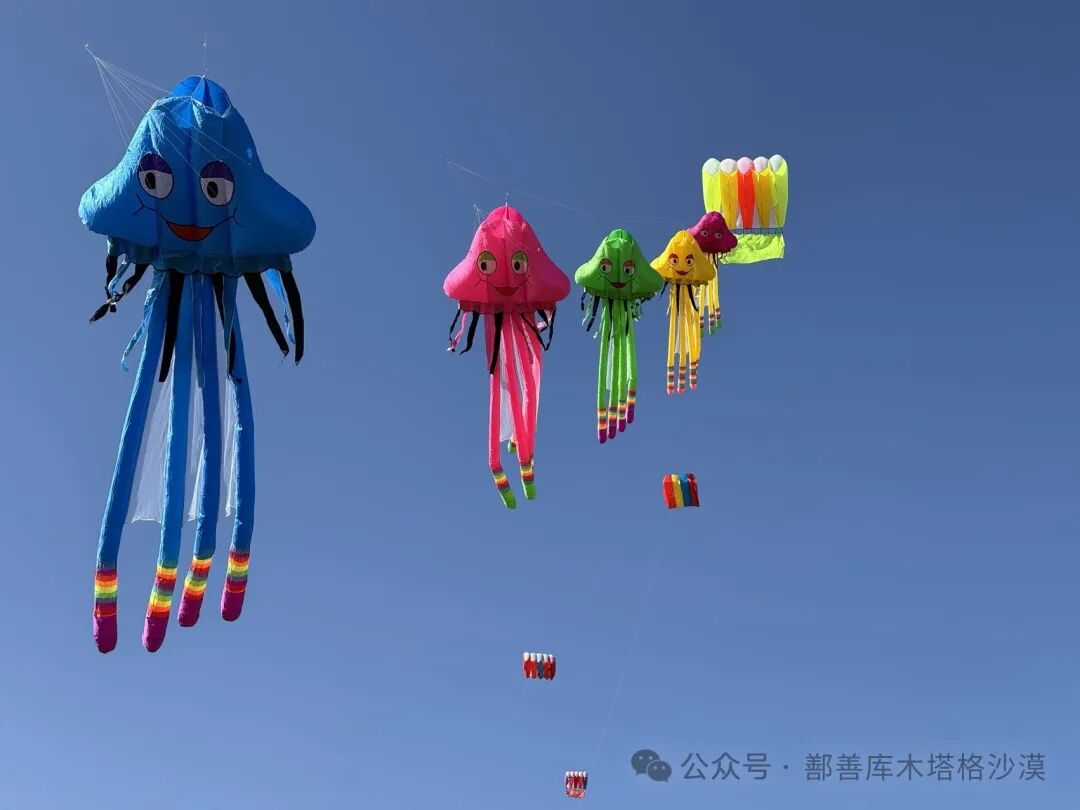 筝有趣鄯善库木塔格举办的风筝节你去了吗