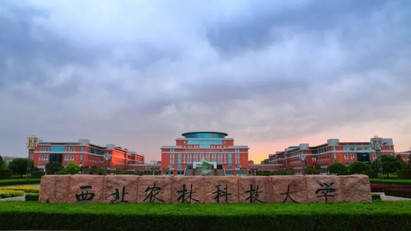 西北农林科技大学图册_360百科
