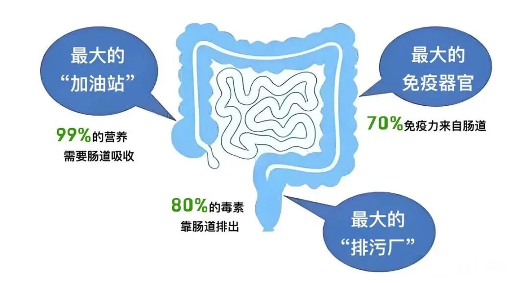 结肠水疗仪怎么操作区人民医院肠道spa新科技：无痛结肠水疗，轻松“肠”享健康_https://www.jmylbn.com_新闻资讯_第2张