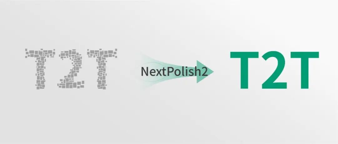 CGM第403期：NextPolish2：一种针对HiFi数据组装的基因组碱基矫正算法 原文配图1