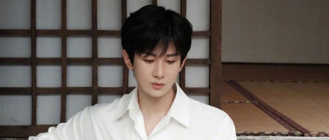 成毅与角色适配度