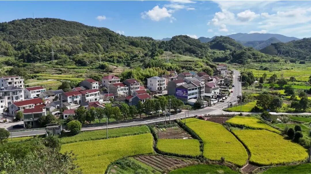 紹興市の美しい農村風景