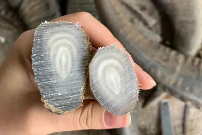 牛角刮痧板怎么存放脸部「松、垂、垮」显老10岁？在家多做这一事，清除面部瘀滞，让颜值“回春”_https://www.jmylbn.com_新闻资讯_第11张