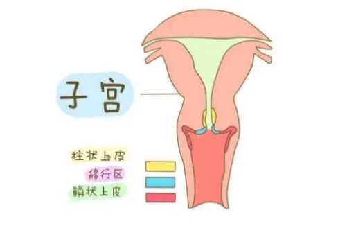 妇科荧光检查是什么科普丨揭开阴道镜的神秘面纱_https://www.jmylbn.com_新闻资讯_第7张