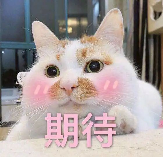 点击查看图片来源
