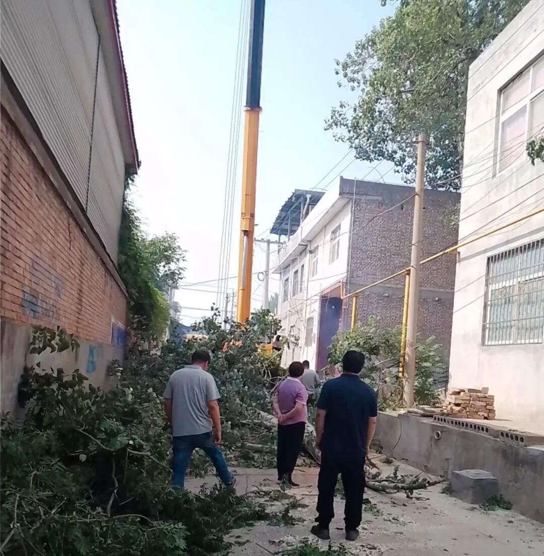 河南洛阳洛龙法院李楼法庭：因“一棵树”起纠纷 聚“多方力”续邻里情