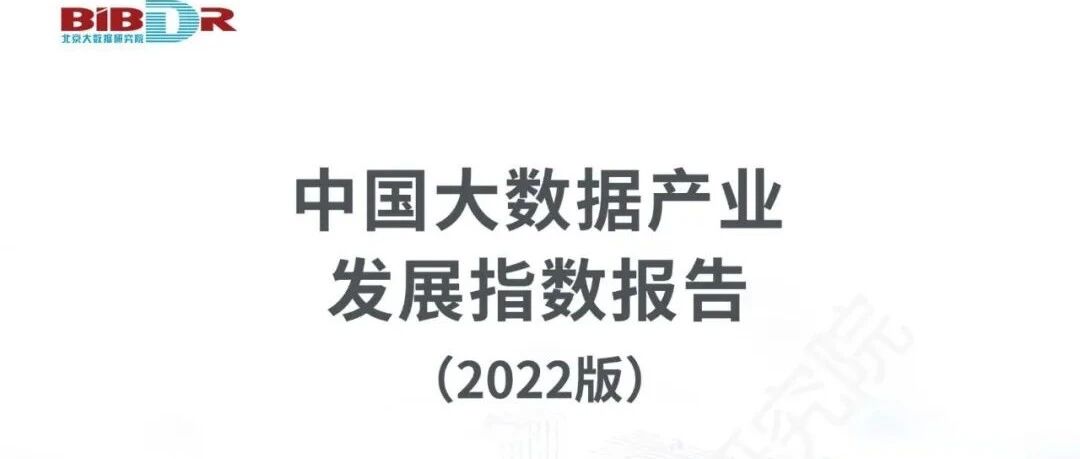 2022年中國大數據產業發展指數報告圖片
