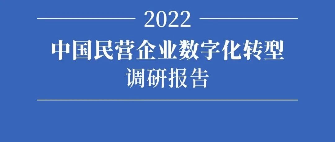 中國民營企業數字化轉型調研（2022）圖片
