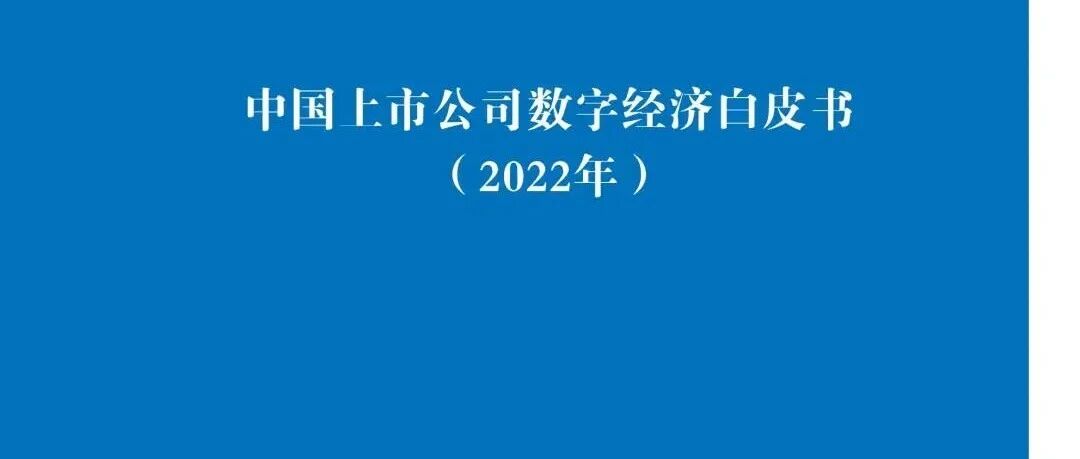 中國上市公司數字經濟白皮書（2022）圖片