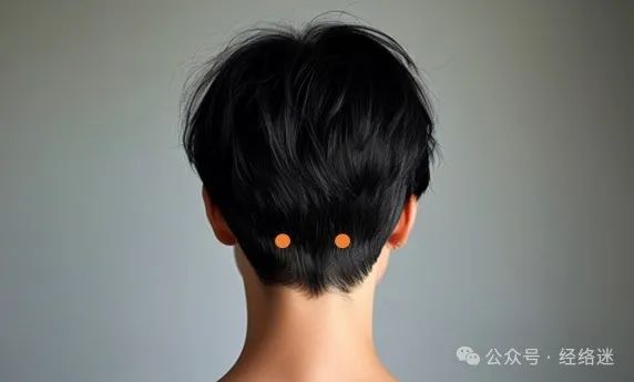 notion image