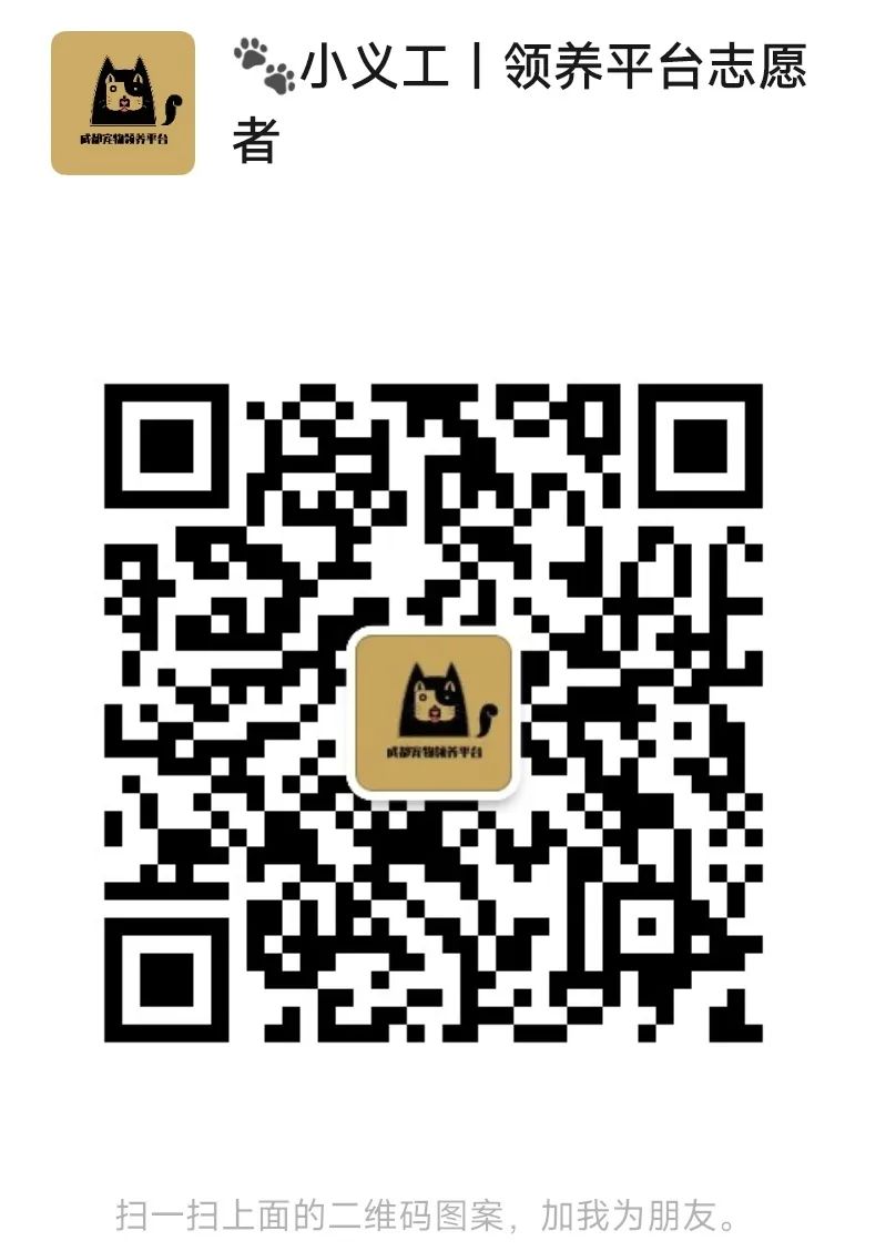 2024年11月20日成都领养（225只猫猫、59只狗狗、4只兔兔、1只蜜袋鼯、1只瘤尾守宫）