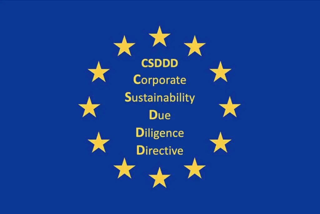 csddd2