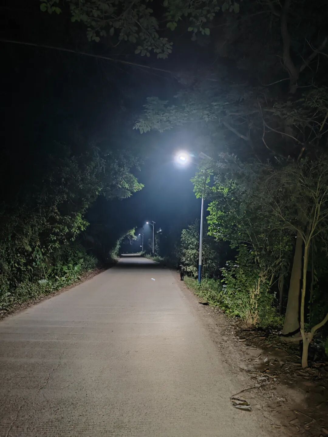 【路灯照亮夜行路 乡村振兴暖民心】波塘镇实施公共基础照明项目