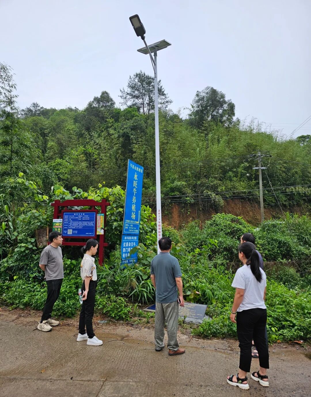 【路灯照亮夜行路 乡村振兴暖民心】波塘镇实施公共基础照明项目