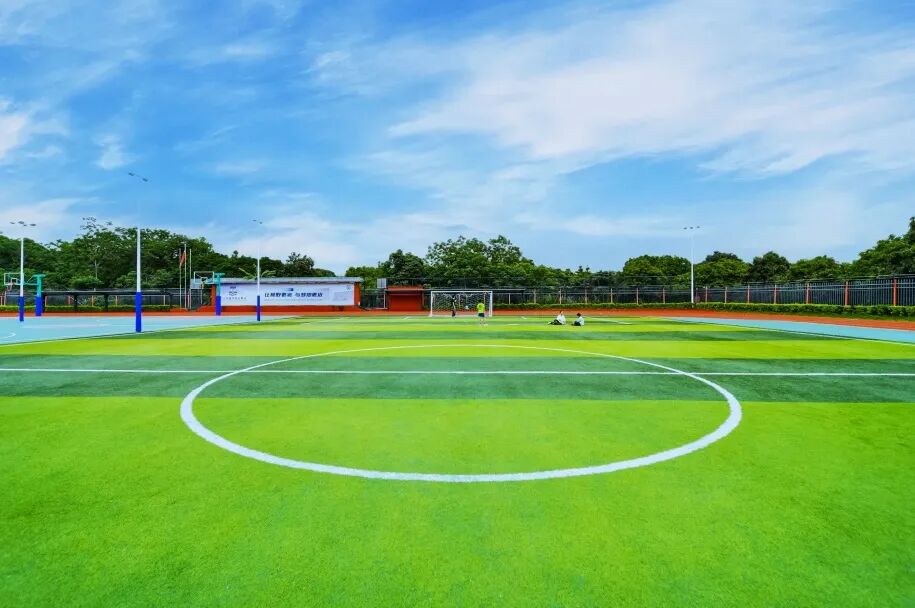 ͼƬ